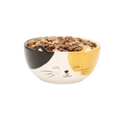Winkee Cat Bowl