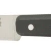 Opinel Steakmes N°125 22 Cm Rvs Zwart -Rhythm & Rizz 2767 53863 1