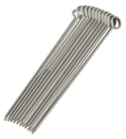 Oldenhof Vleesspies 20 Cm Rvs 12 Stuks