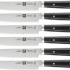 Zwilling Steakmessenset By Matteo Thun 6-delig -Rhythm & Rizz 4239029 001 6 delige set