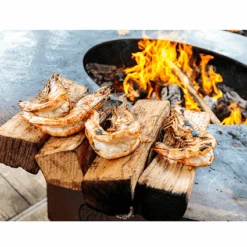 OFYR XL Barbecue -Rhythm & Rizz ofyr xl 1