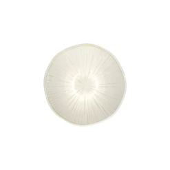 Pomax Mysa Ontbijtkom ø 12,3 Cm Porselein Wit -Rhythm & Rizz pomax mysa ontbijtkom 12 3 cm porselein wit1