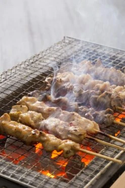 Oldenhof Konro Grill Diatomite Japanse Barbecue B-9 31 X 23 X 20 Cm 7 Oldenhof Konro Grill Diatomite Japanse Barbecue B-9 31 X 23 X 20 Cm -Rhythm & Rizz shutterstock 556753543 2